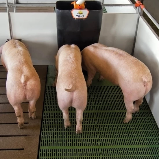 Бункерная кормушка для откорма TR-2