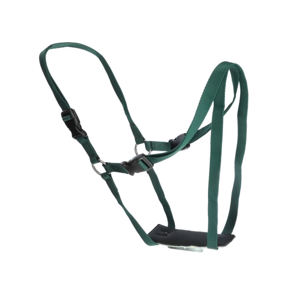 загрузка (1)