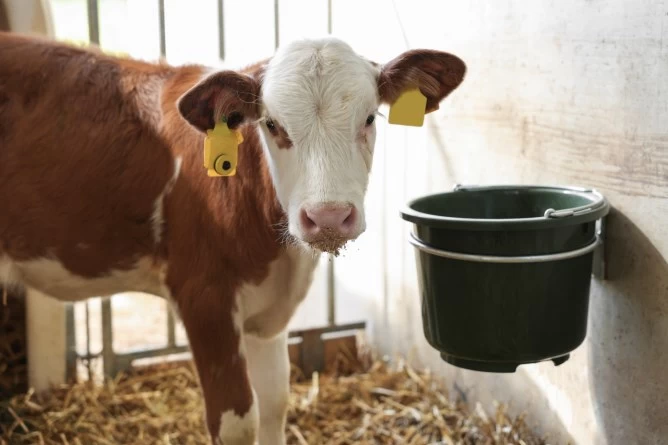 Крепление для ведра 28см