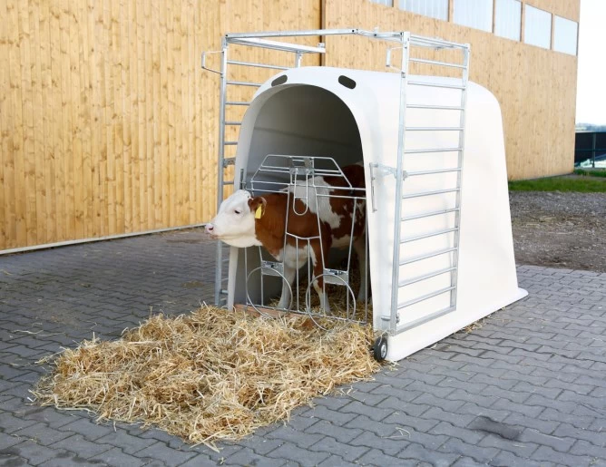 Домик для телят Премиум Плюс с тяжелым ограждением