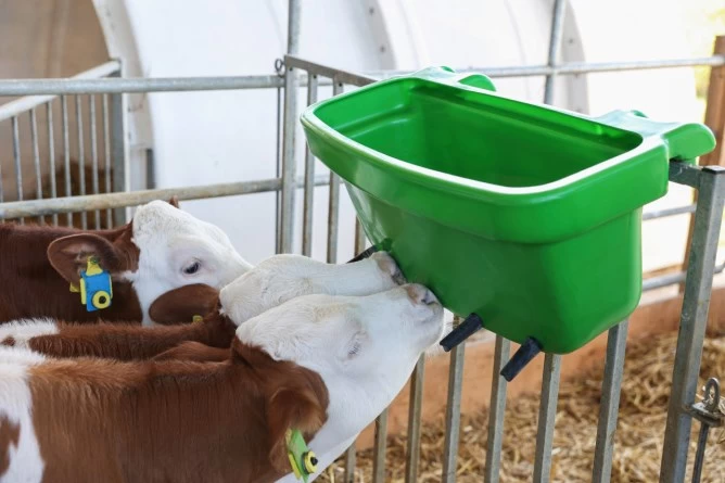 Ванна-поилка для телят Multi Feeder 30л, без разделения на порции, с сосками Big Softy 