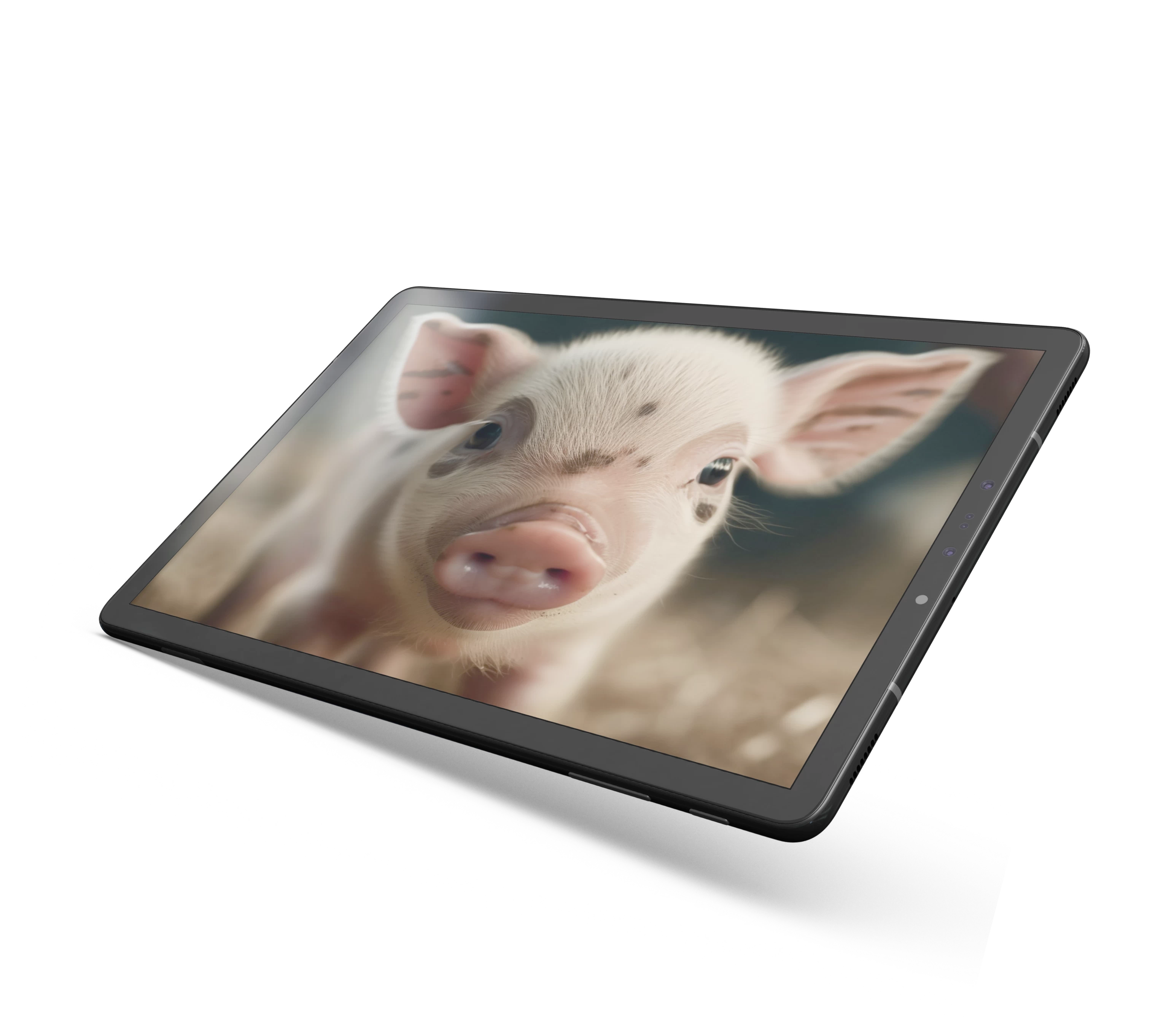 Автоматизация животноводства 