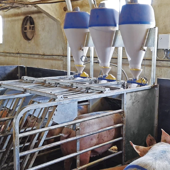 Электронная система индивидуального кормления для свиноматок DOSITRONIC G 