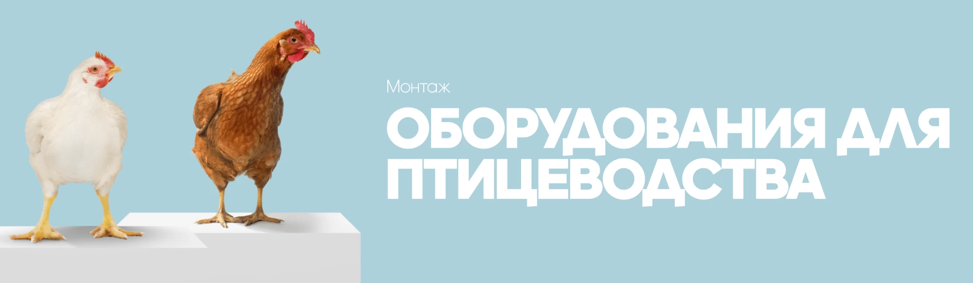 Монтаж оборудования для птицеводства 