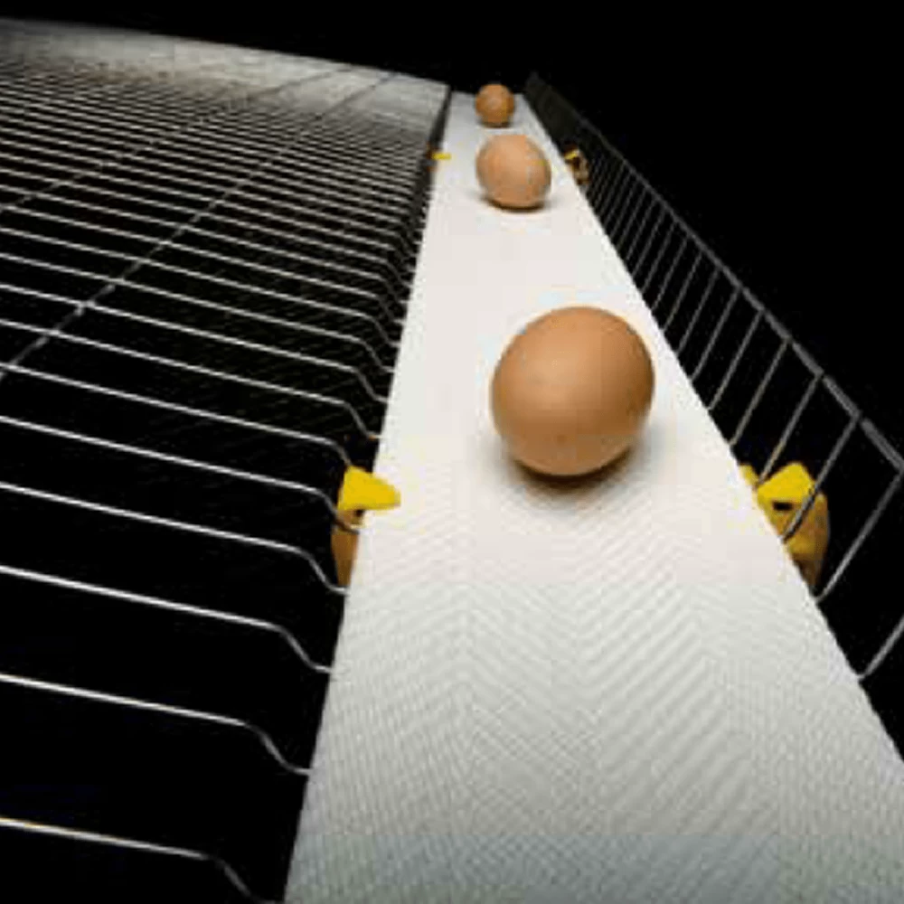 Лента яйцесбора тип TPEHW, ширина 95мм