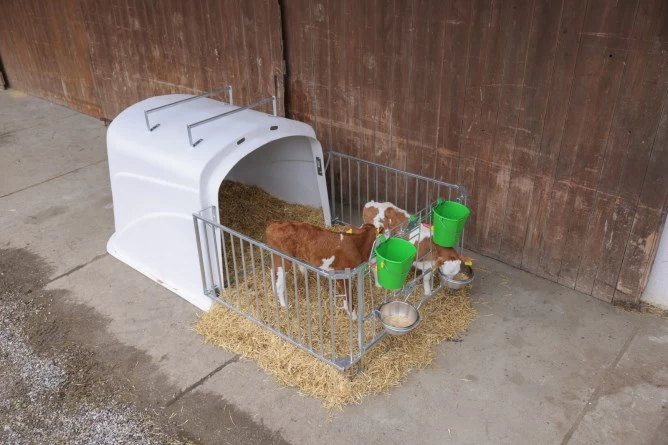  Домик для телят Премиум-класса ДУО с ограждением