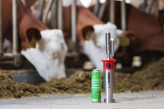 1766 Роговыжигатель газовый AirBuddex Kerbl