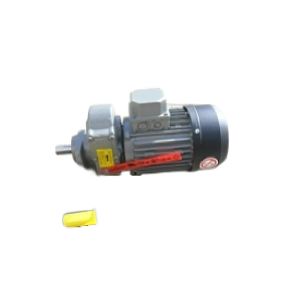 Мотор-редуктор G01 BG71 0,37кВт для помет./яцесб. (вал 20,0x40,0мм, 27,0об/мин)