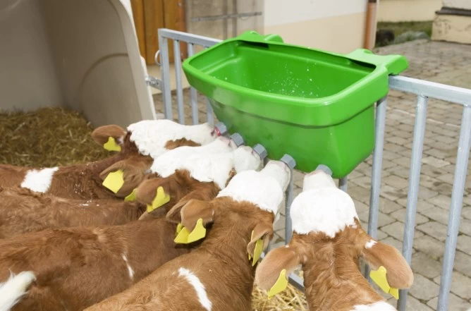 Ванна-поилка для телят Multi Feeder 30л, без разделения на порции, с сосками Latex 