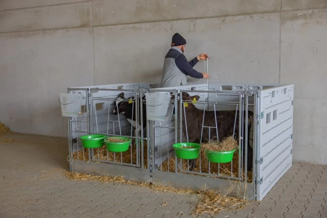 Ведро для выпойки телят с клапаном FixClip