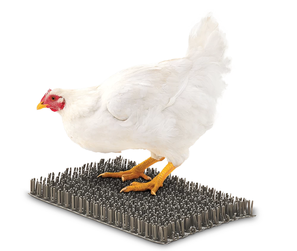 Коврик для гнезда VAS GENT 450 x 1170 мм (открытый)