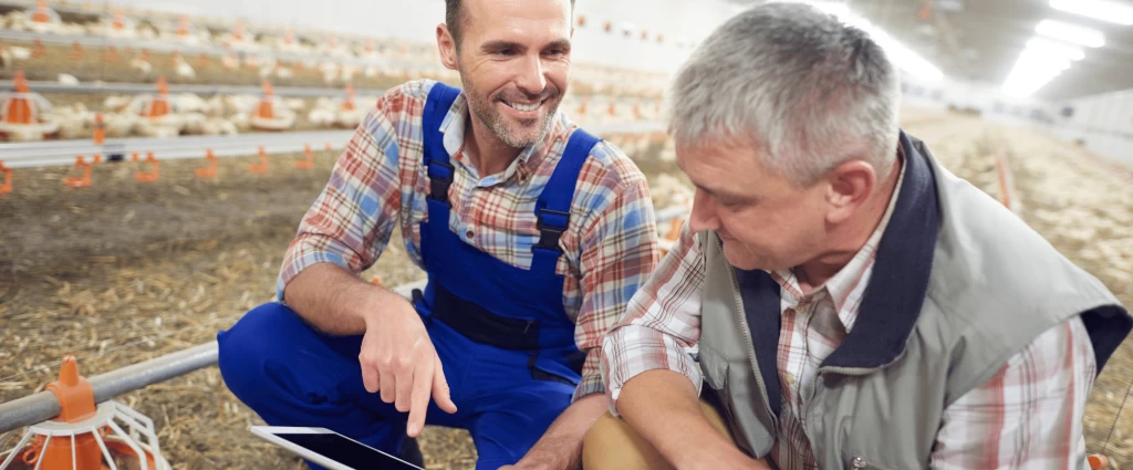 баннер (6)-min.png