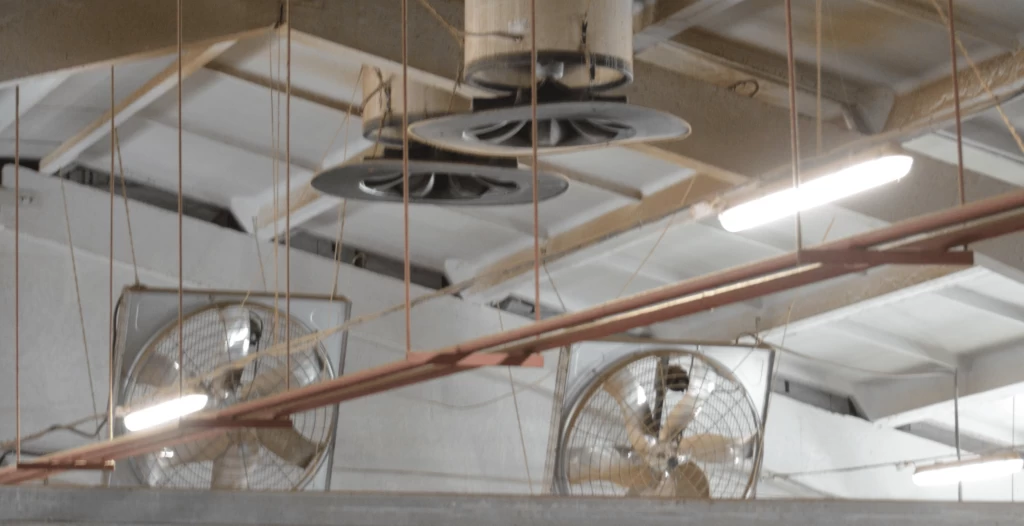 Frame 606 (4)-min.png