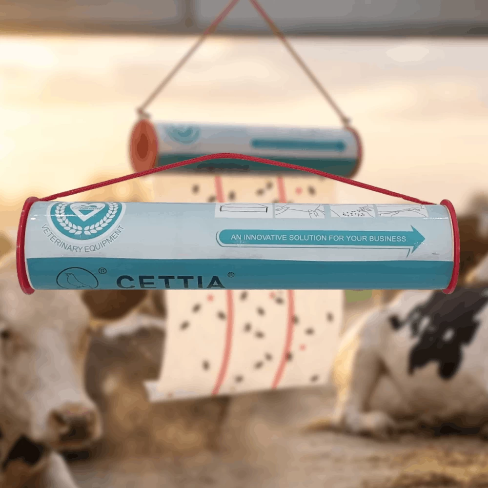 Frame 634 (2) (1).png