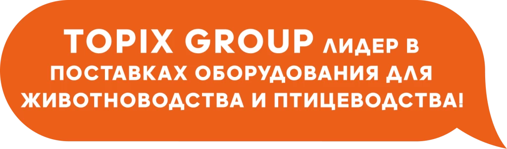 тек.png