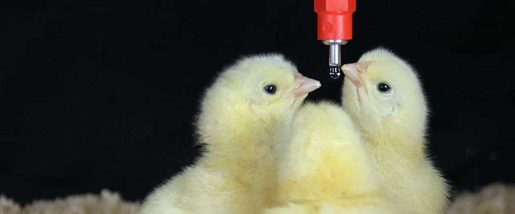 баннер (8)-min.png