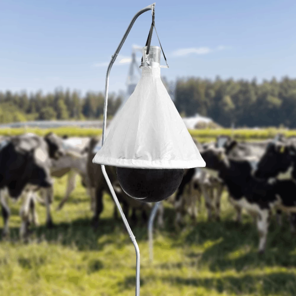 Frame 634 (1) (1).png