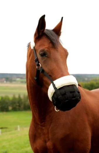 Мордочка плюшевого мишки из флиса для жеребят, черный