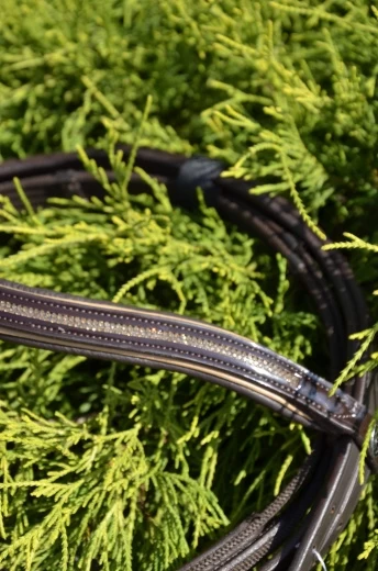 Оголовье Кингстон для средней лошади (Full), коричневое