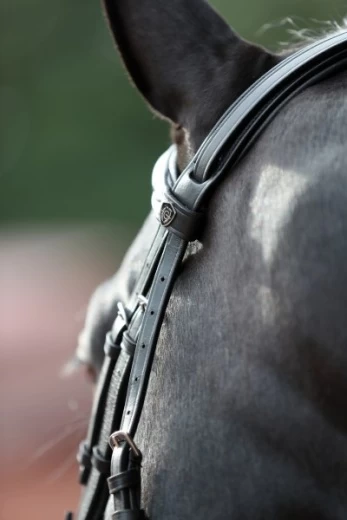 Оголовье Ковальеро для пони, черное