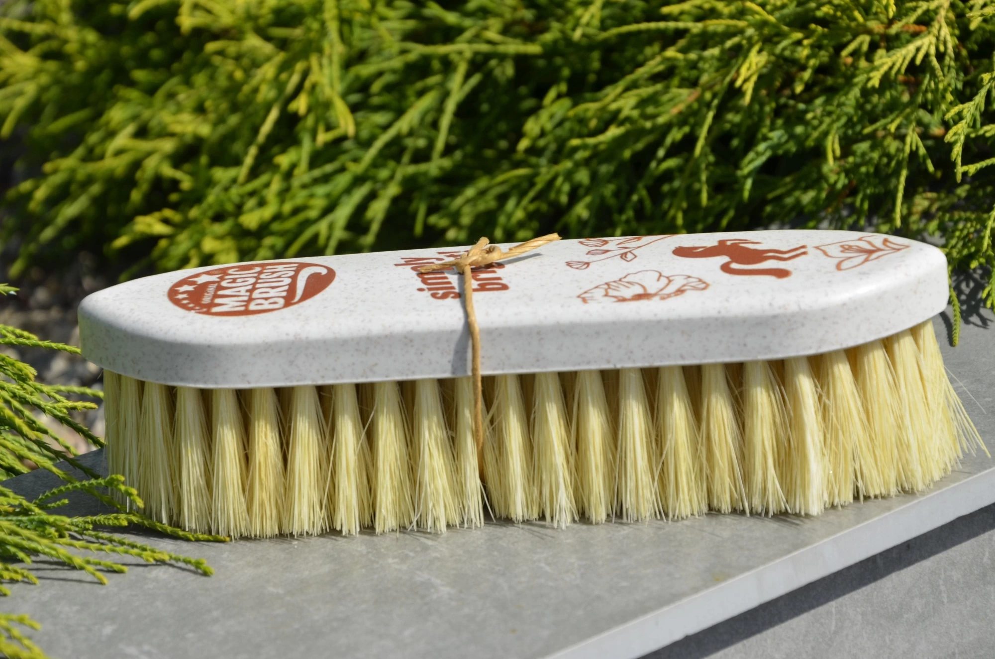 Щетка для гривы 22см