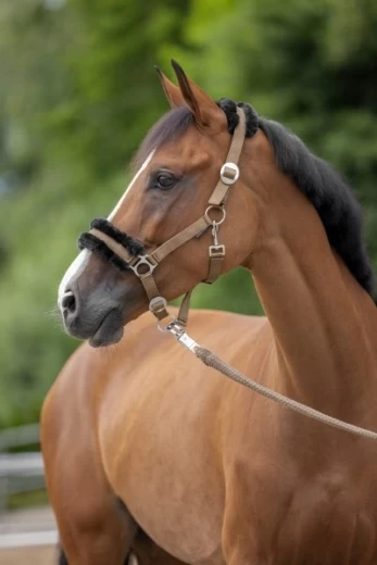 Недоуздок КлассикСофт для пони, серый