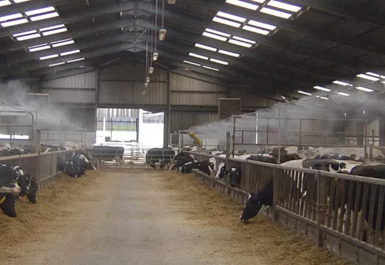 Начните сезон с инновационной системой охлаждения: туманообразование под высоким давлением и Pad Cooling