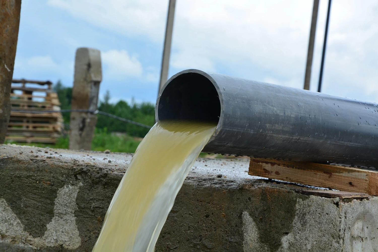 ЗАО "БИОМАКС", ФИЛИАЛ "БИОМАКС-КОРЕЛИЧИ"