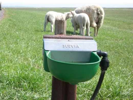 Поилка Suevia модель 130 P