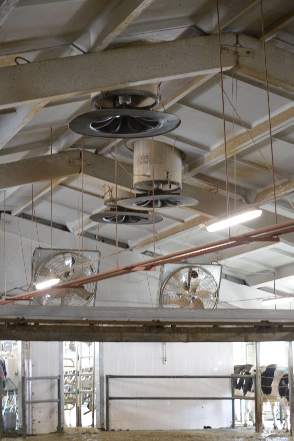 ОАО "КОПЫЛЬСКОЕ"