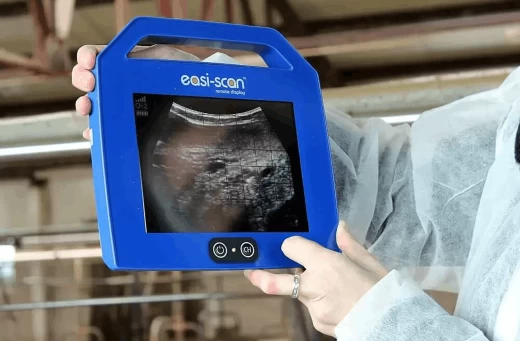 Беспроводной 8.5 LCD монитор со штативом