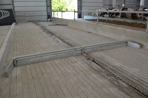 Скрепер цепной для уборки навоза в коровнике Бирипут Агри / Beerepoot  Agri