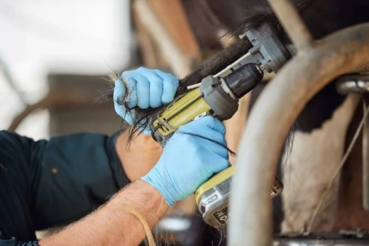 18235 Мощный триммер для хвоста TailWell Titanium Kerbl