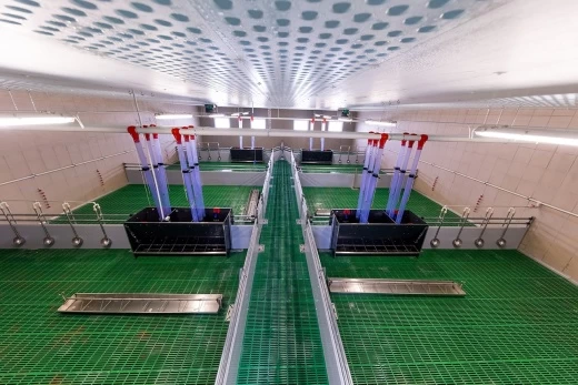 Кормовой автомат Стандарт AP 4W для подсвинков, в разобранном виде