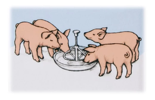 Кормушка для поросят 2л, 26,5 см