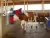 18820 Автоматическая щетка для коров HAPPYCOW Duo Kerbl