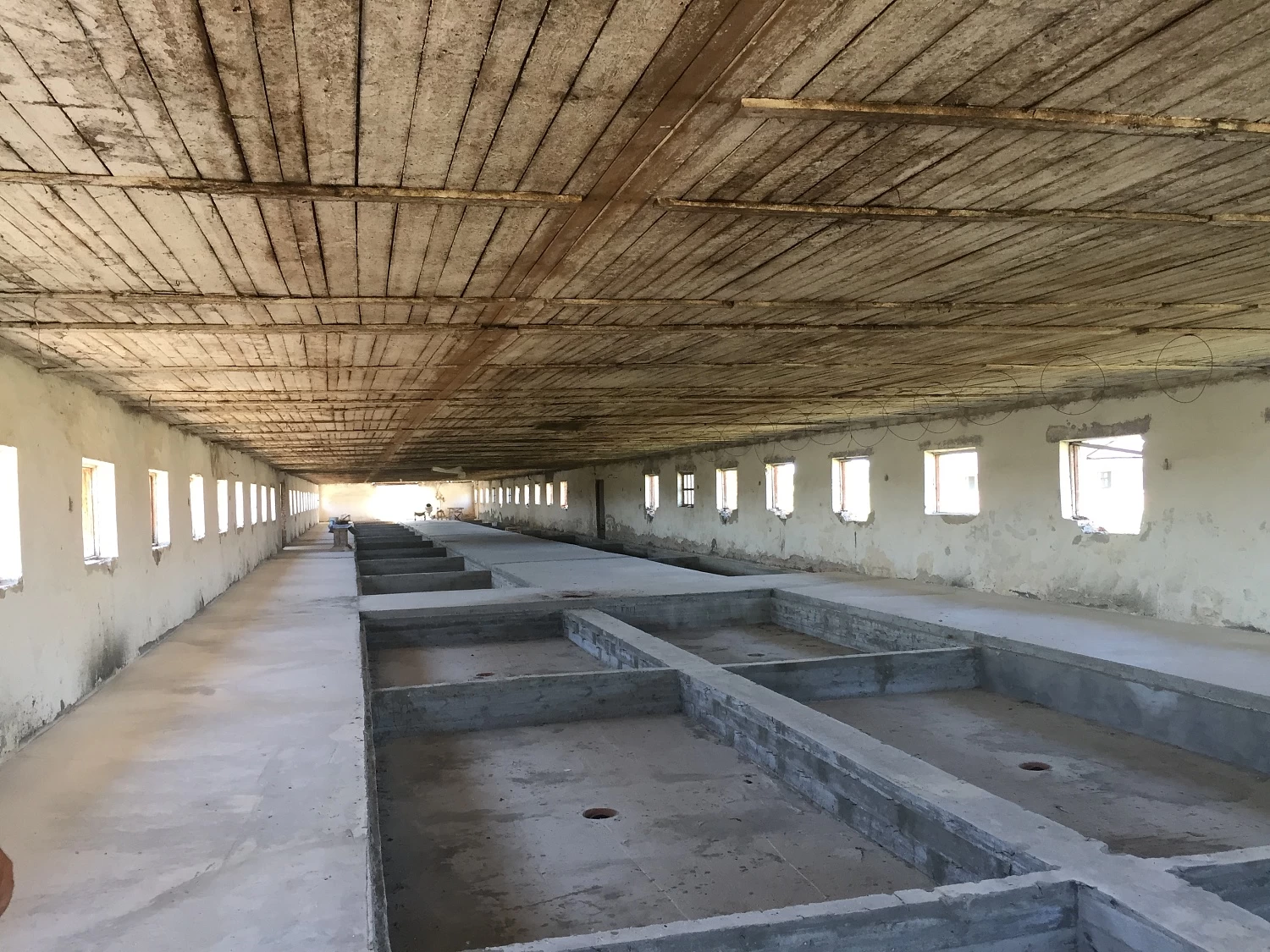 ЗАО "ГУЛЬКЕВИЧСКИЙ ПЗ" 