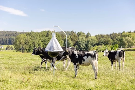 Ловушка для слепней и оводов 