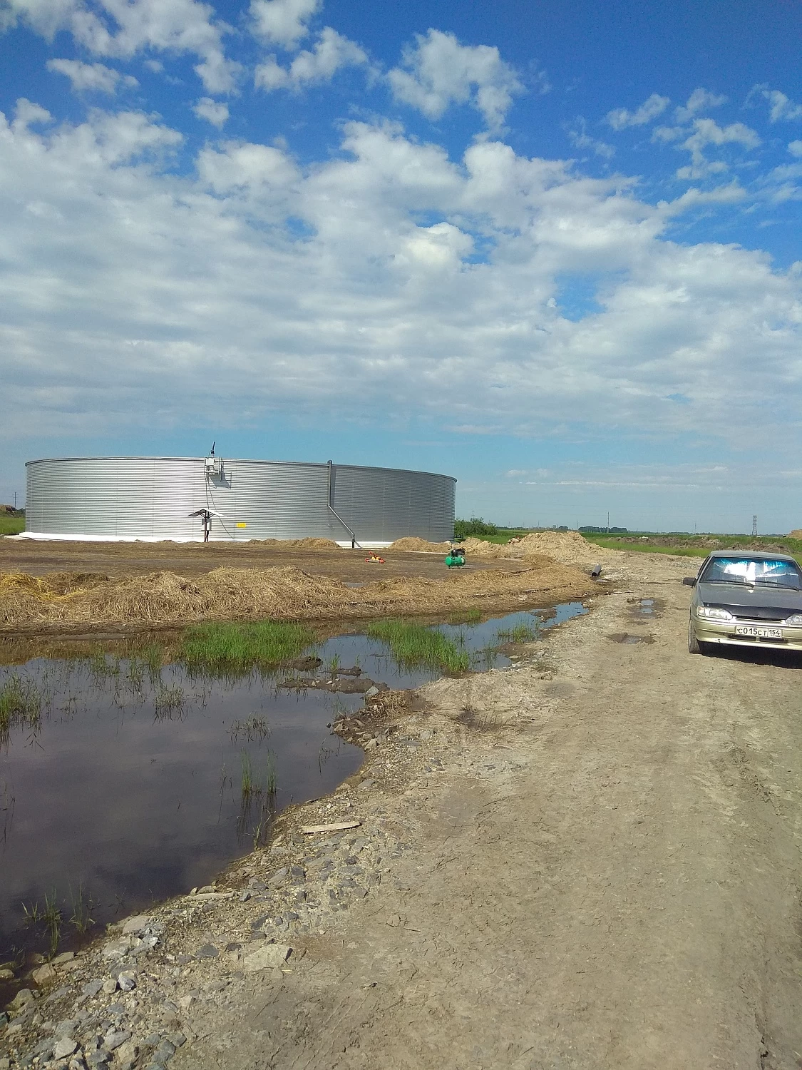 МТФ "ТОЛМАЧОВСКОЕ" 