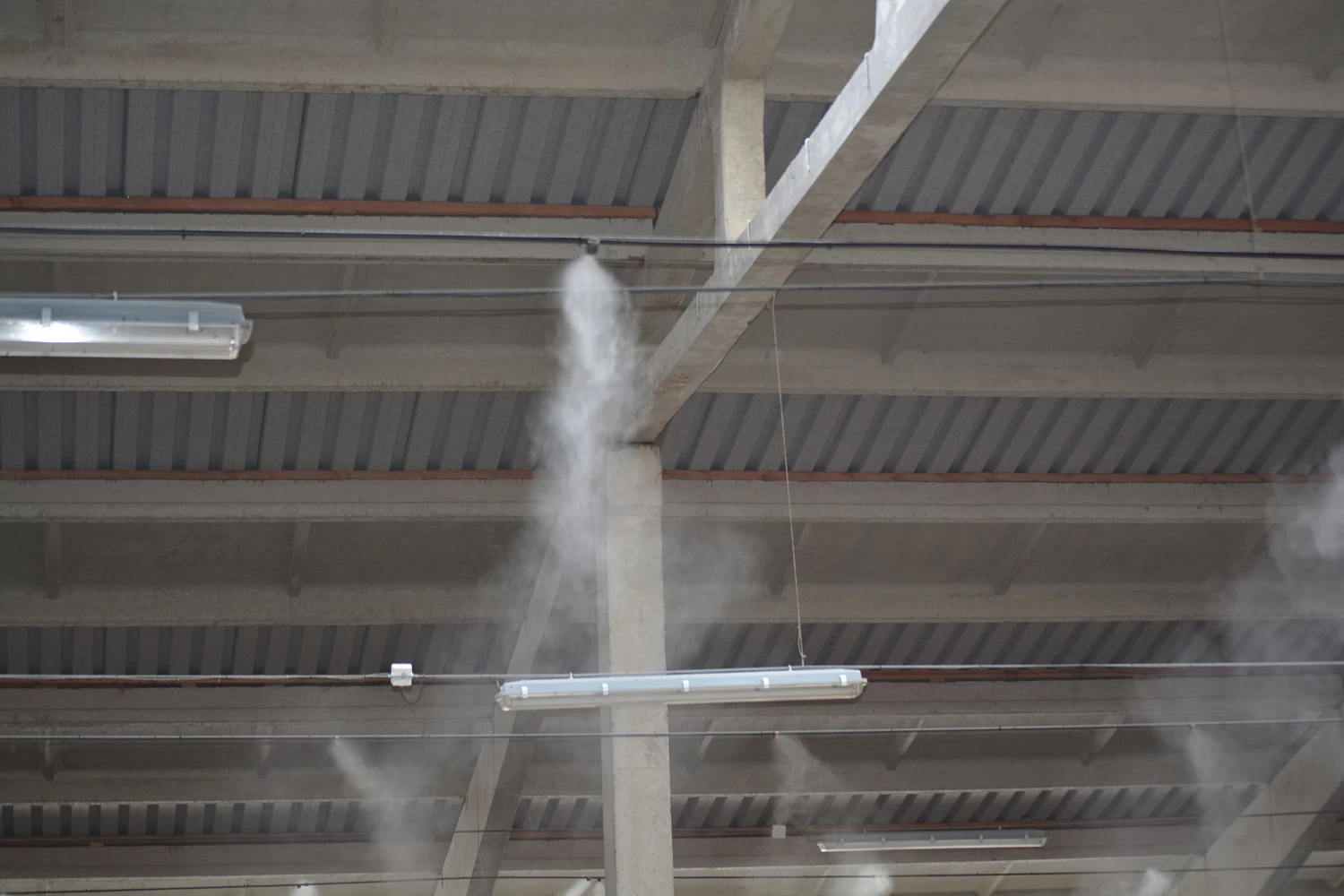 ОАО “БЕЛОВЕЖСКИЙ”