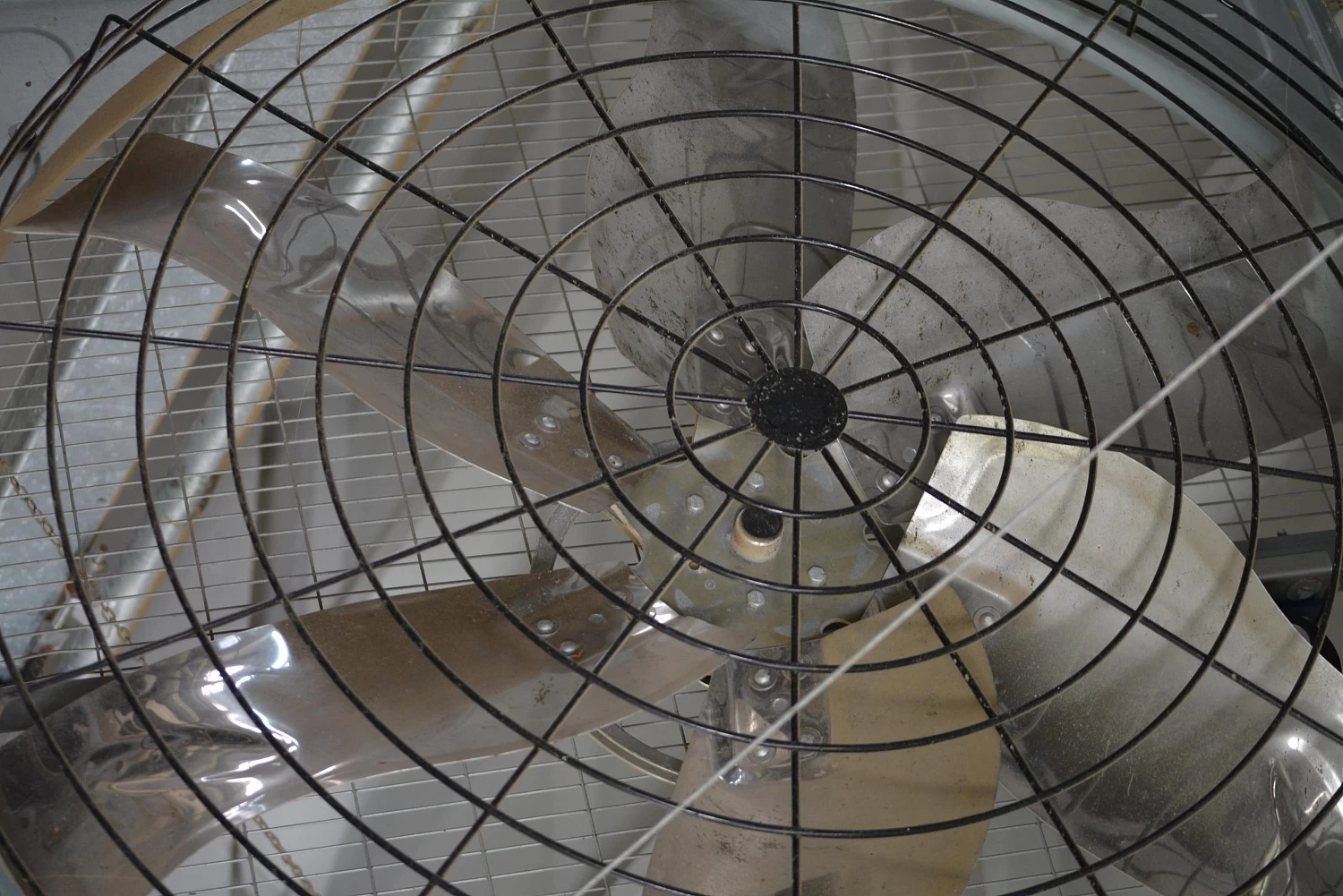 ОАО "КОПЫЛЬСКОЕ"