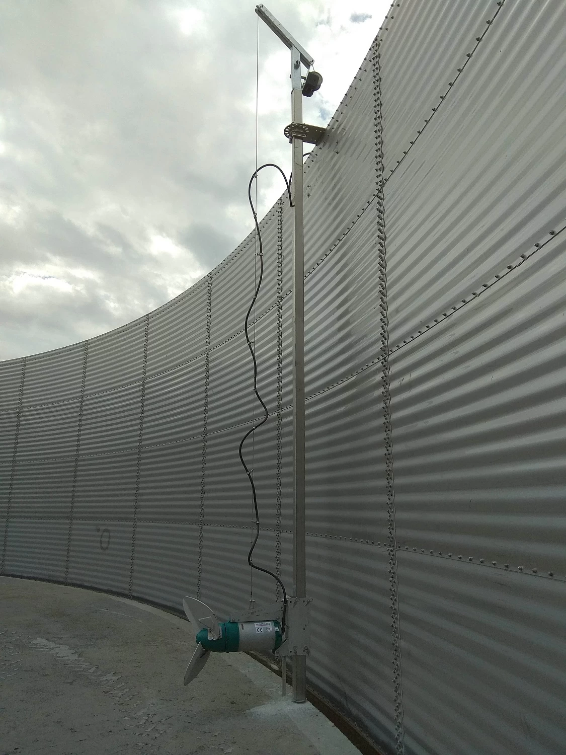 МТФ "ТОЛМАЧОВСКОЕ" 