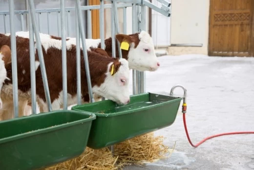 Кормушка с поплавковым клапаном