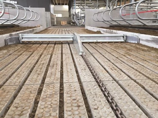 Скрепер цепной для уборки навоза в коровнике Бирипут Агри / Beerepoot  Agri