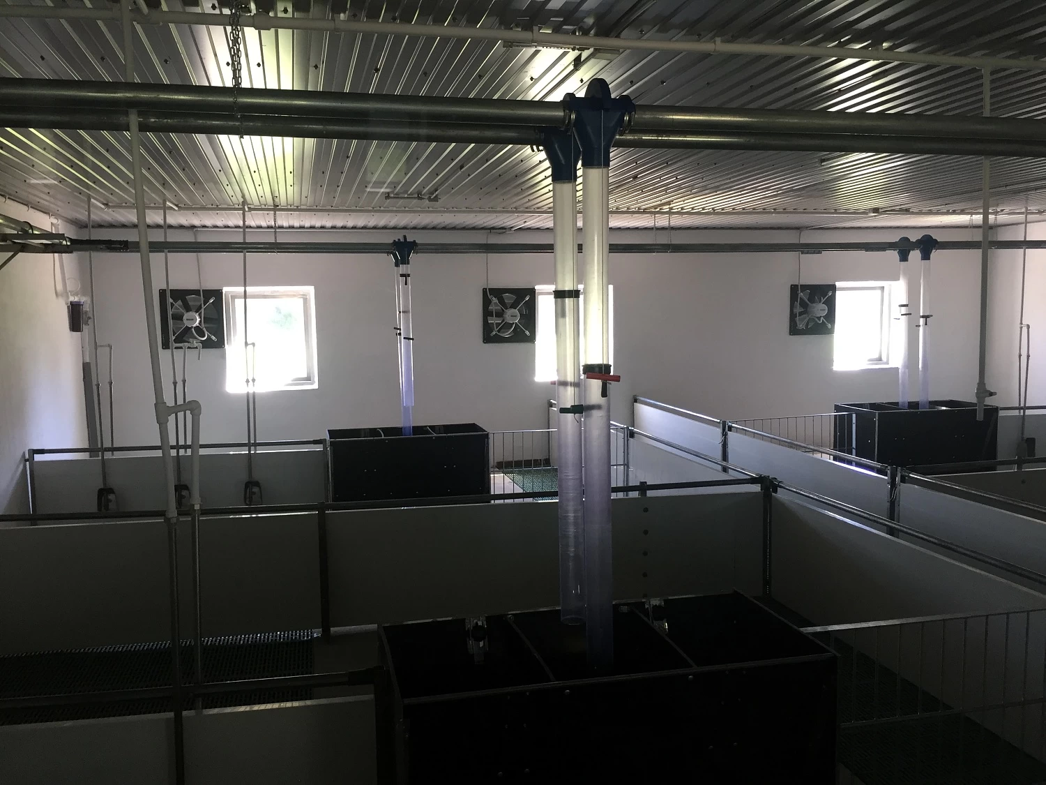 ЗАО "ГУЛЬКЕВИЧСКИЙ ПЗ" 