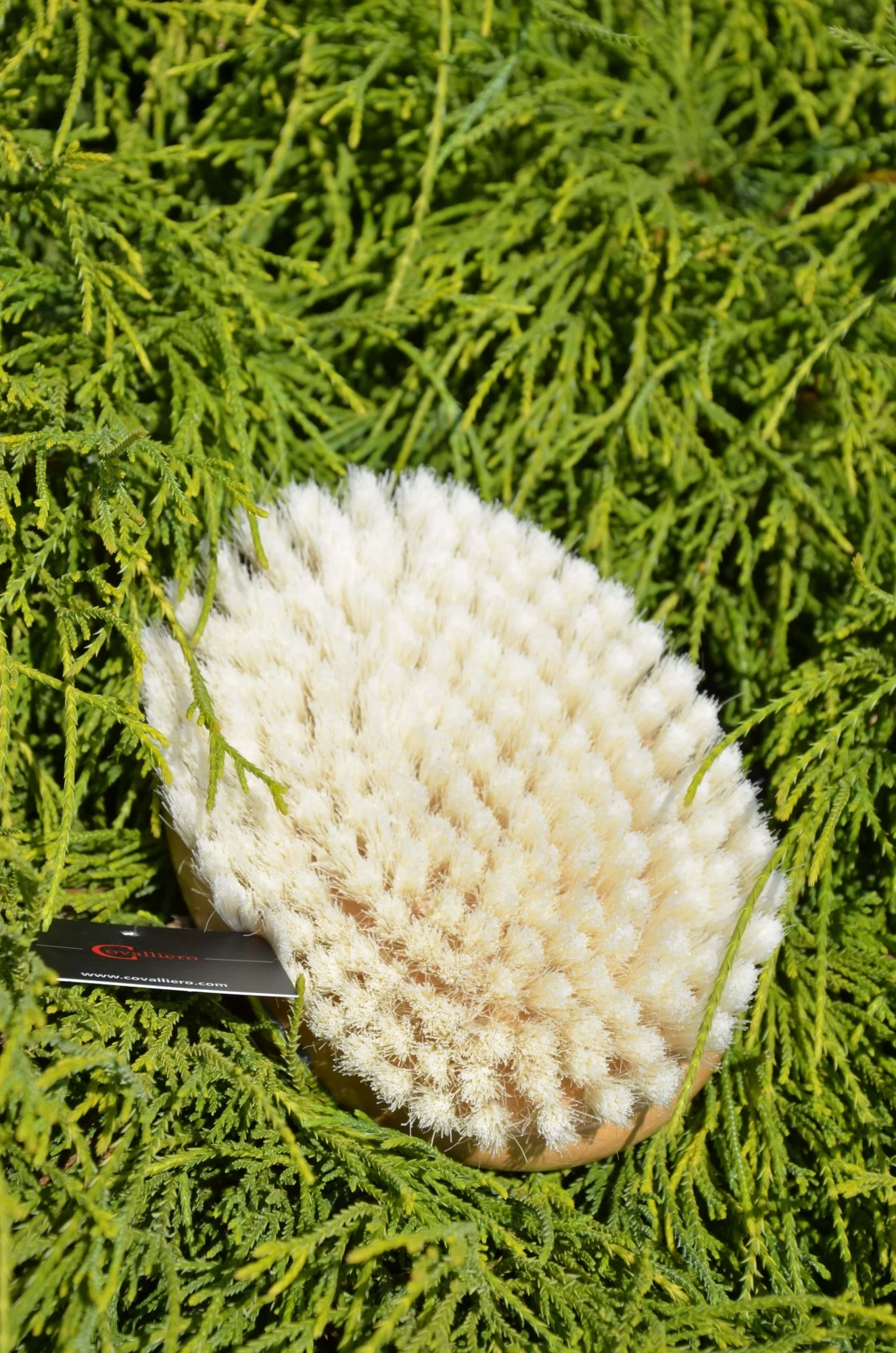 Щетка для лошадей Ковальеро 13см, натуральный волос