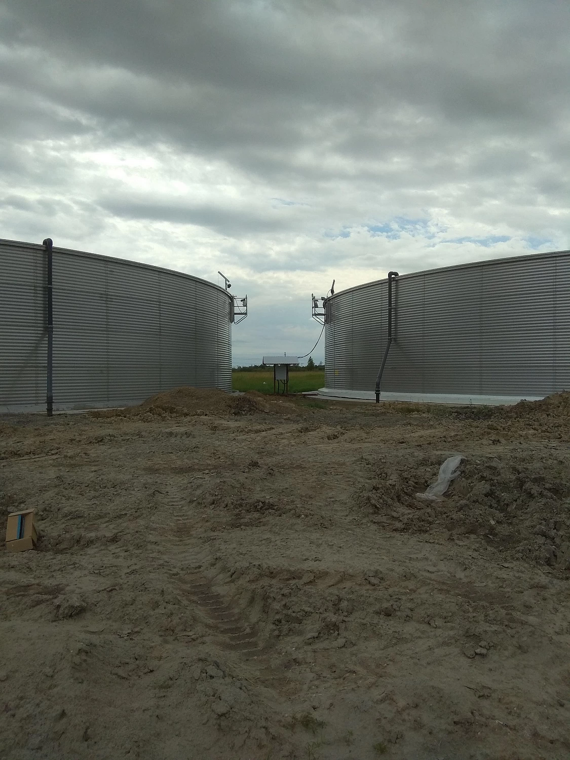 МТФ "ТОЛМАЧОВСКОЕ" 