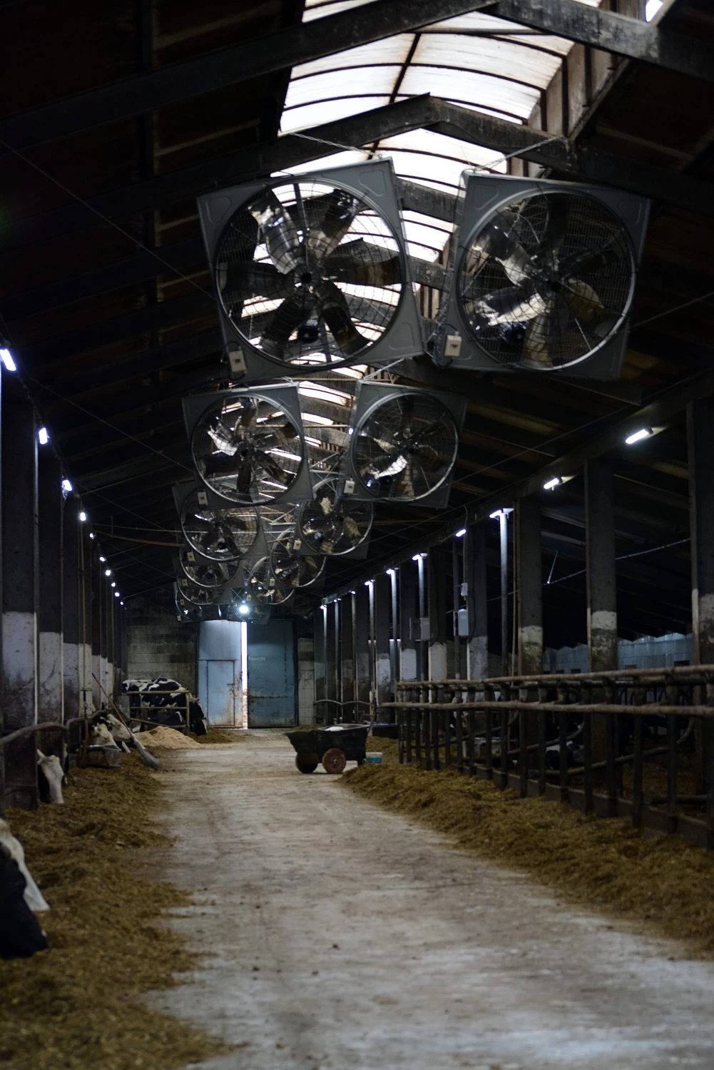 СХК "ВЕЛИКОПОЛЬЕ"