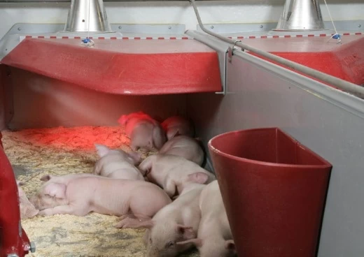 Угловой навес INN-O-CORNER