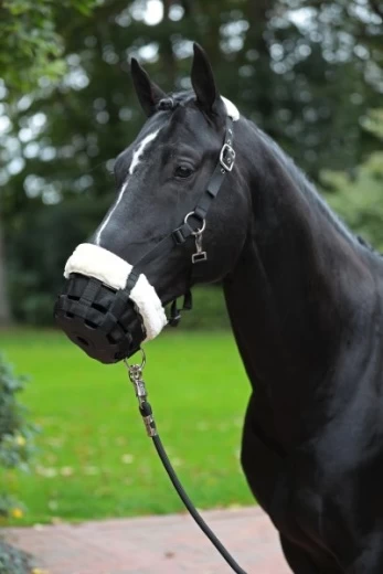 Мордочка плюшевого мишки из флиса для жеребят, черный